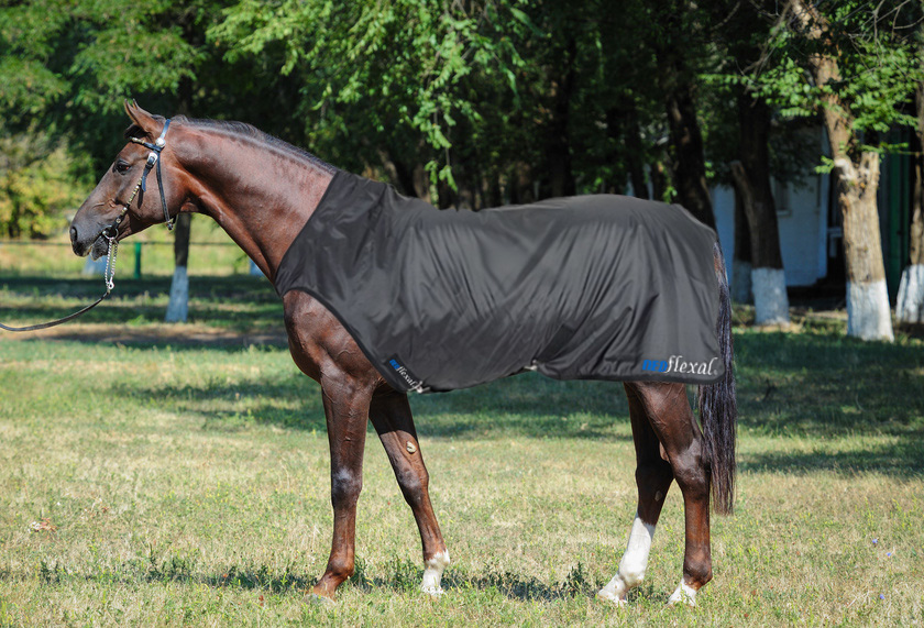 Walker Magnetfeld- & Infrarotwärme